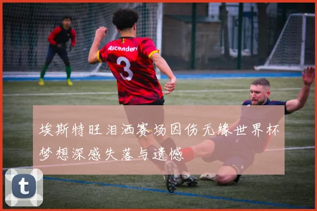 埃斯特旺泪洒赛场因伤无缘世界杯梦想深感失落与遗憾