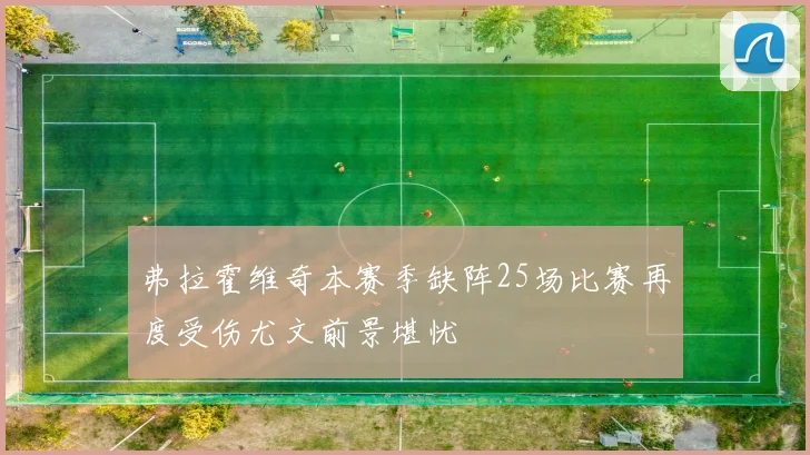弗拉霍维奇本赛季缺阵25场比赛再度受伤尤文前景堪忧
