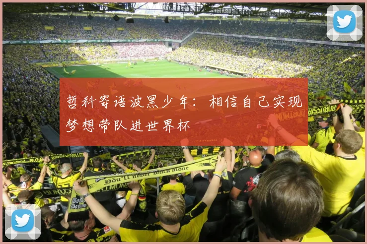 哲科寄语波黑少年:相信自己实现梦想带队进世界杯